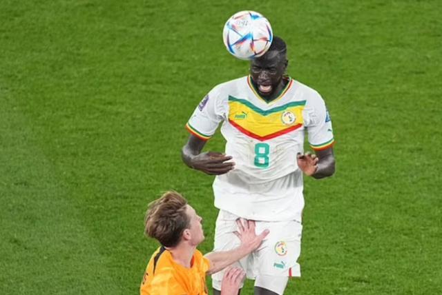 1669068731863044604.png 31.png